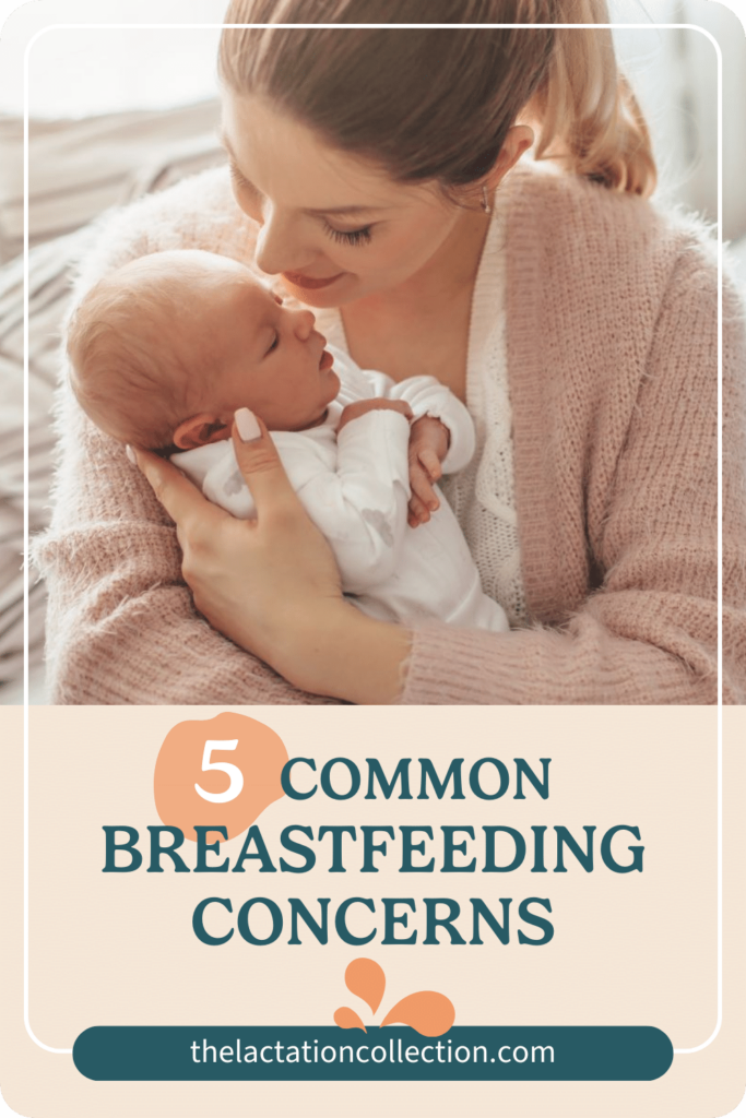 A heartwarming image of a mother gently cradling her newborn baby. The mother is smiling down at her infant who is dressed in white, encapsulating the bond between parent and child. The overlay text reads '5 Common Breastfeeding Concerns' with a website address 'thelactationcollection.com' at the bottom, offering resources and support for new mothers.