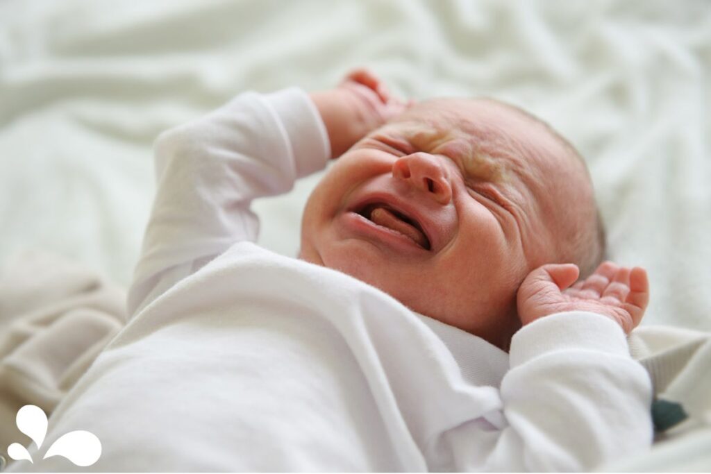 A newborn baby with a scrunched-up face and closed eyes crying, indicating a possible hunger cue or need for comfort.