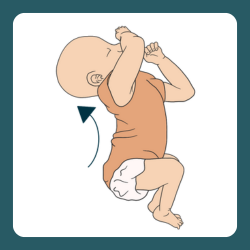 A baby arching their back with arms raised, showing signs of mid-level hunger.