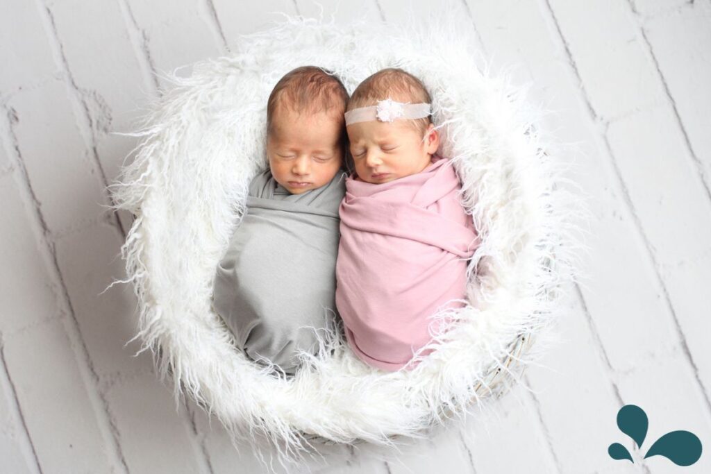 Boy and girl twin siblings swaddled in blue and pink, laying nestled in a white fur nest.