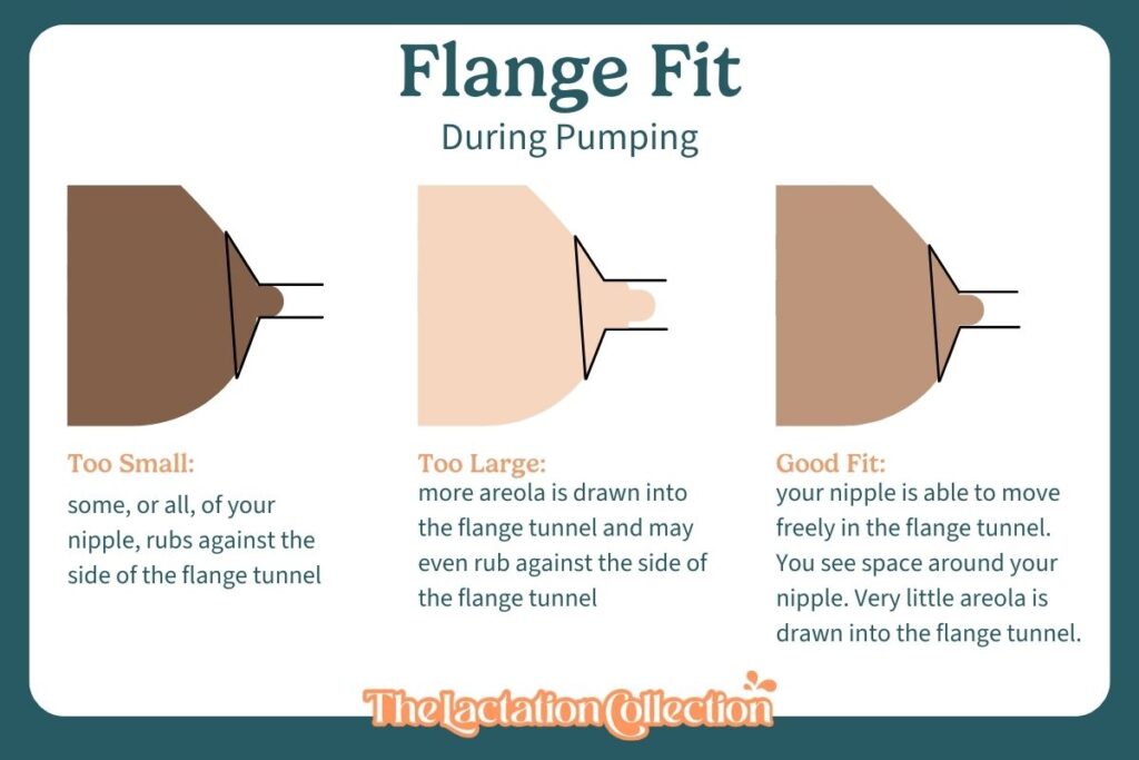 Illustration comparing flange fit during pumping, displaying three breast shapes. On the left, 'Too Small' shows the nipple rubbing against the flange tunnel. In the middle, 'Too Large' shows excessive areola pulled into the flange tunnel. On the right, 'Good Fit' shows the nipple moving freely with minimal areola in the tunnel.