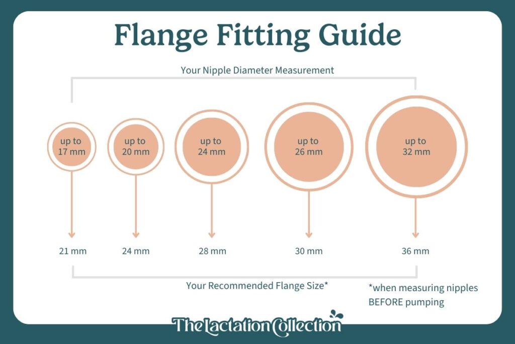 Illustrated Flange Fitting Guide showing different nipple diameter measurements with corresponding flange sizes for breast pumps. Measurements range from up to 17 mm to up to 32 mm, with recommended flange sizes from 21 mm to 36 mm.