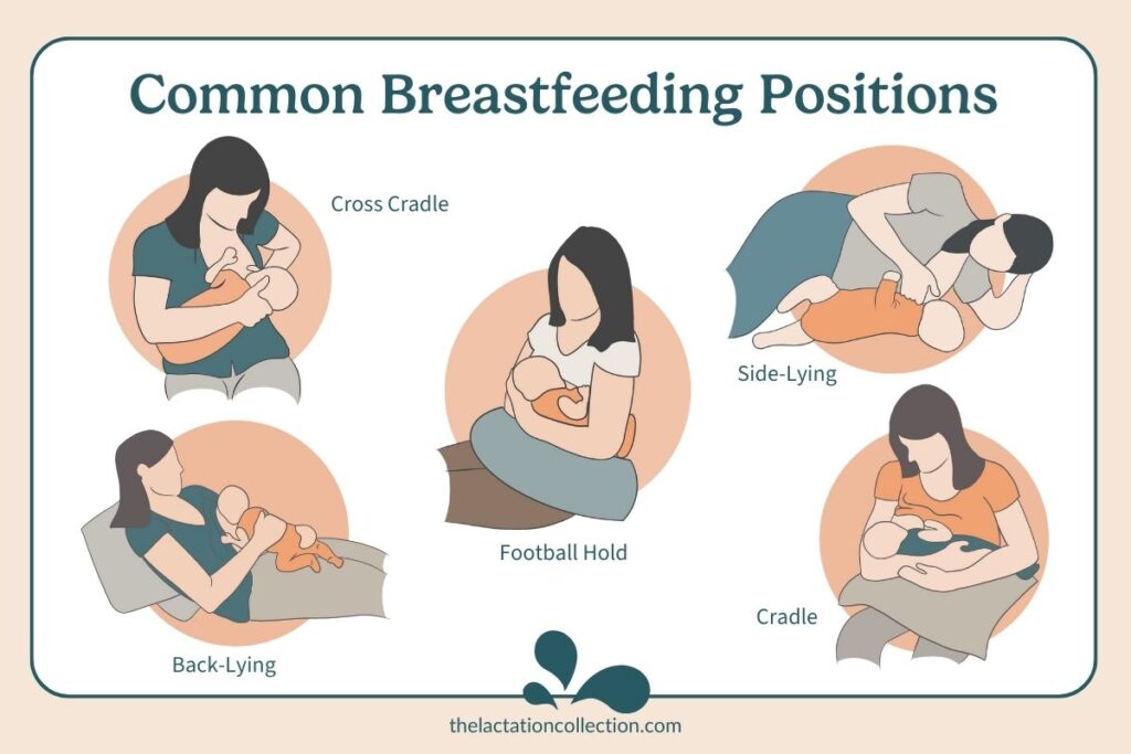 Infographic demonstrating five of the most common breastfeeding positions.