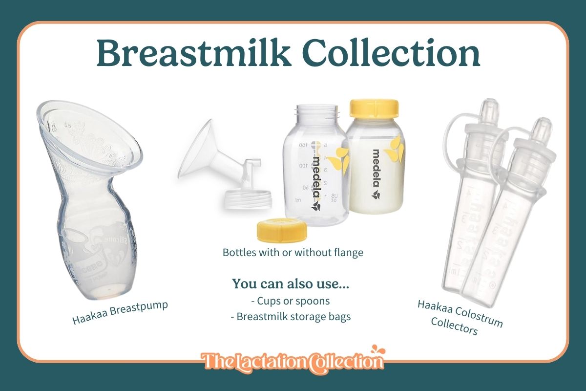 An infographic showcasing various tools for breastmilk collection: a Haakaa breast pump, Medela bottles with and without flange, and Haakaa colostrum collectors. The text also suggests using cups, spoons, or breastmilk storage bags.