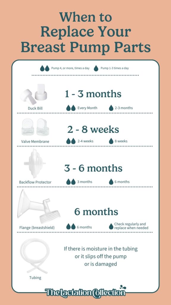 Informative graphic titled 'When to Replace Your Breast Pump Parts' from The Lactation Collection. It outlines replacement schedules for parts based on usage frequency: 'Duck Bill' every 1-3 months, 'Valve Membrane' every 2-8 weeks, 'Backflow Protector' every 3-6 months, 'Flange' every 6 months, and 'Tubing' as needed. Icons indicate the frequency of pump usage, with water drops suggesting moisture checks.