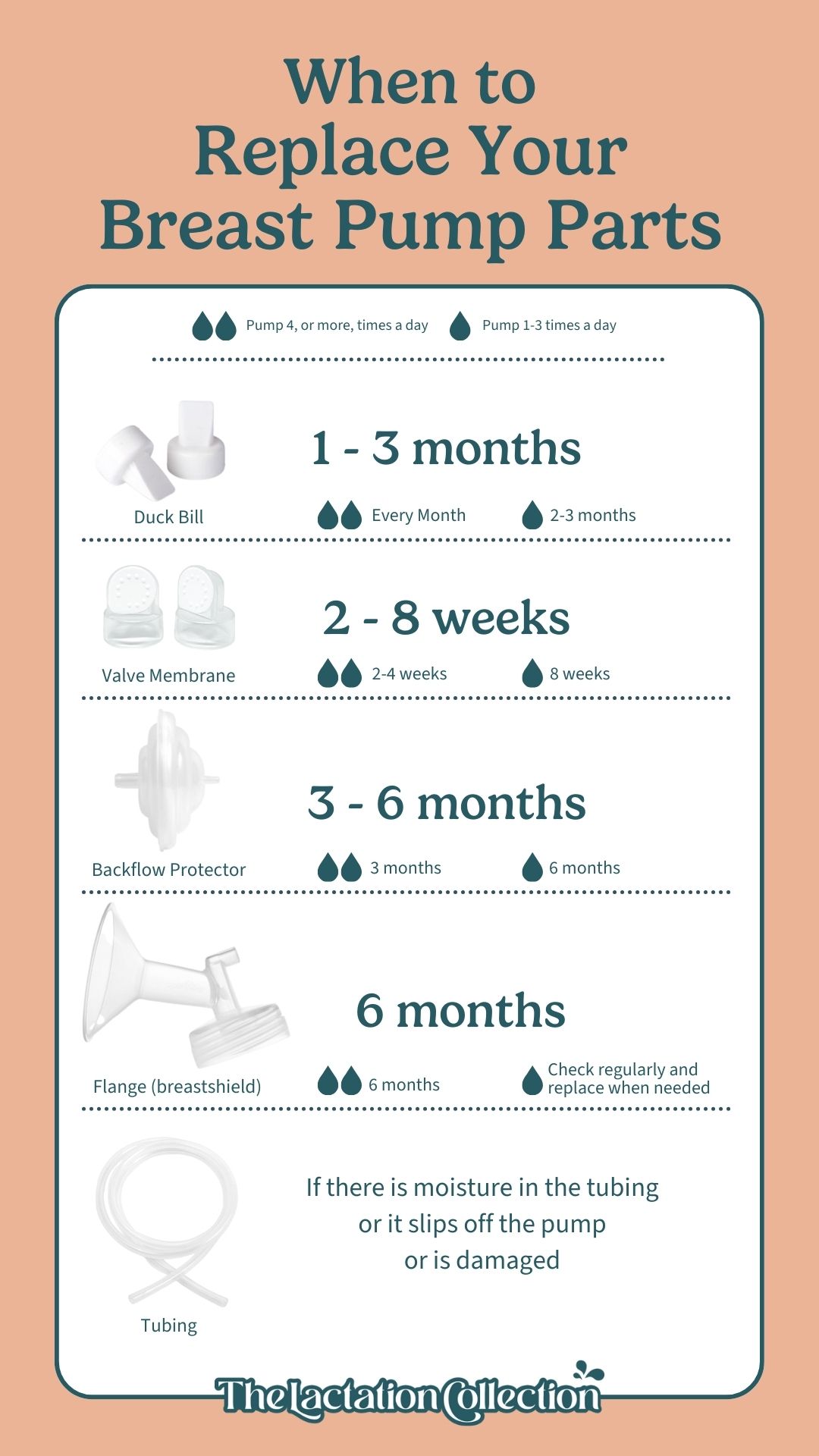 How Often to Replace Pump Parts The Lactation Collection