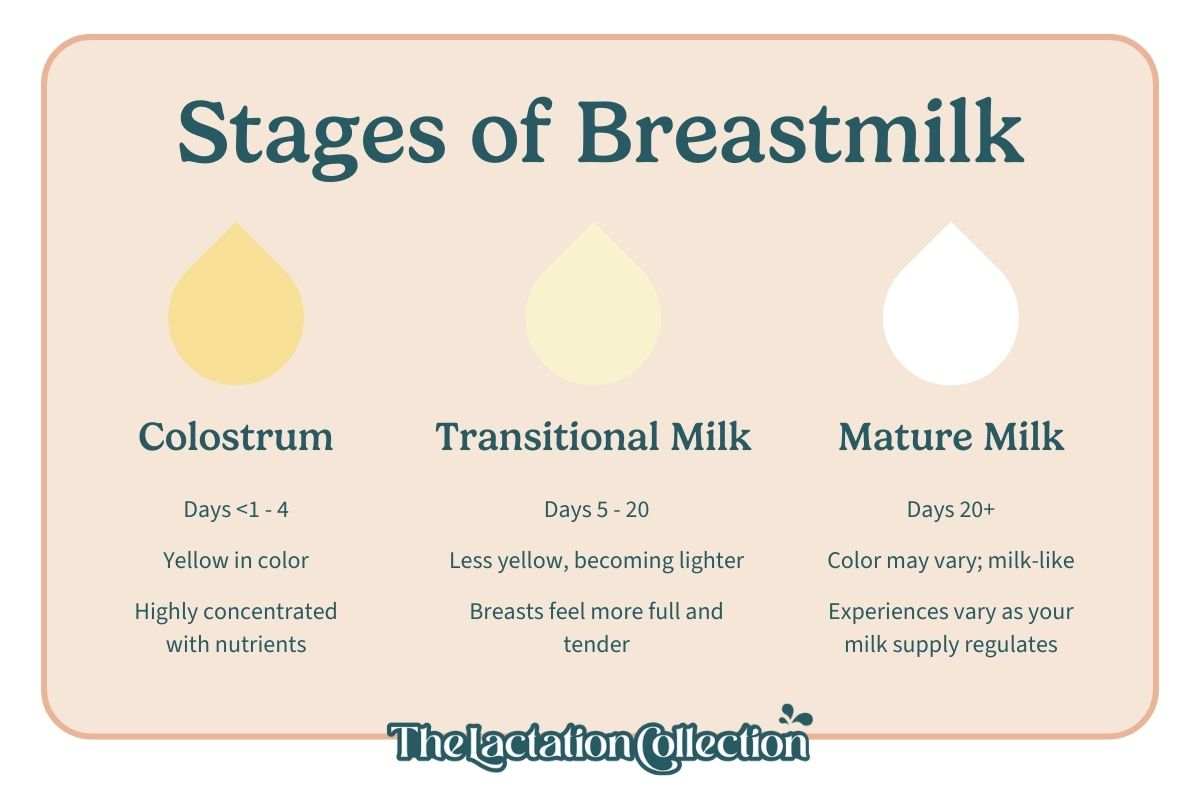 An informative infographic detailing the stages of breastmilk from colostrum to mature milk, with visual cues on color and consistency changes over time.