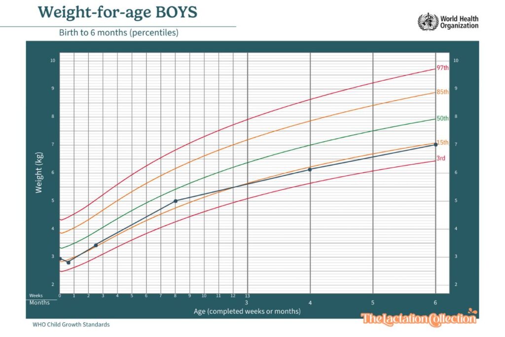 Weight-for-age growth chart for boys from birth to 6 months, showing percentile curves for the 3rd, 15th, 50th, 85th, and 97th percentiles. The chart, labeled with weight in kilograms against age in completed weeks or months, is a standard representation from the World Health Organization.