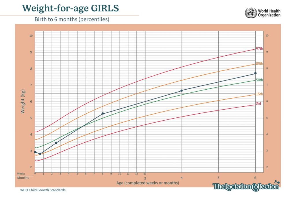 Weight-for-age chart for girls from birth to 6 months, with percentile lines for the 3rd, 15th, 50th, 85th, and 97th percentiles. The background grid indicates weight in kilograms on the left and age in weeks and months on the bottom.