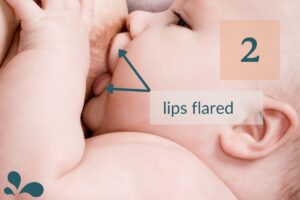 Close-up of an infant breastfeeding showing flared lips, with an overlay and diagram lines indicating the number two for educational purposes on proper latch technique.