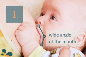 Close-up of a breastfeeding infant with a focus on the wide angle of the mouth, indicated by a numbered overlay and diagram lines, emphasizing proper breastfeeding technique.