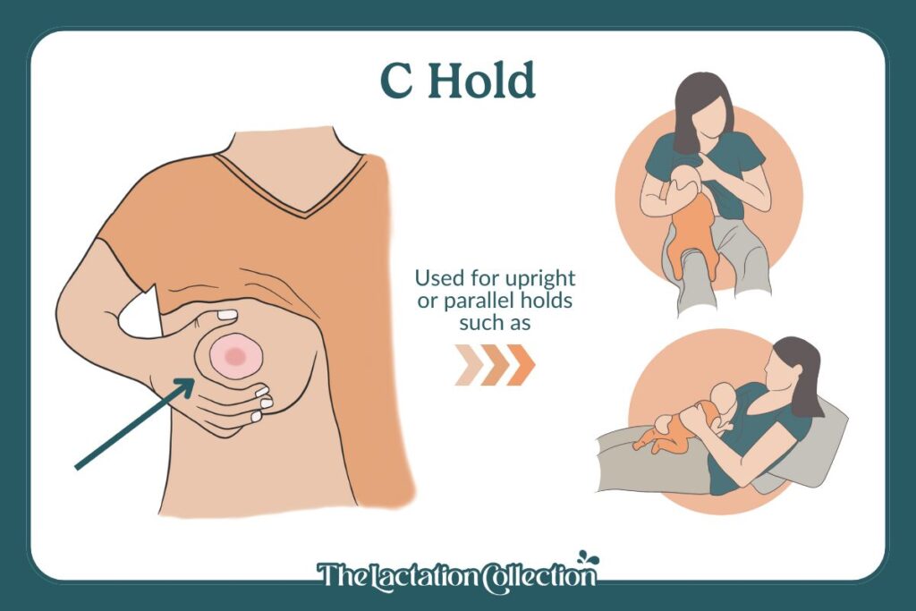 C Hold - for parallel or upright breastfeeding positions to help support the breast for breastfeeding