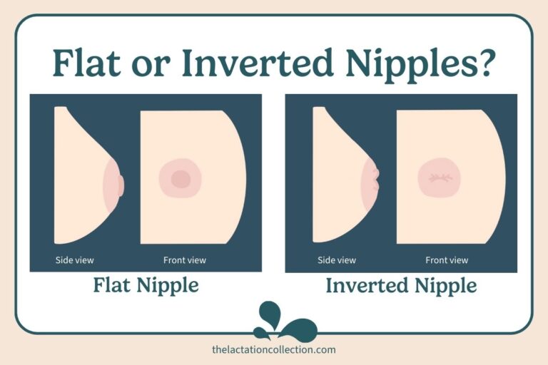 Illustrative infographic comparing flat and inverted nipples, showing side and front views of each. The left side of the image illustrates a flat nipple with a protruding profile from the side view and a flat appearance from the front. The right side shows an inverted nipple recessed in the side view and puckered inward from the front view