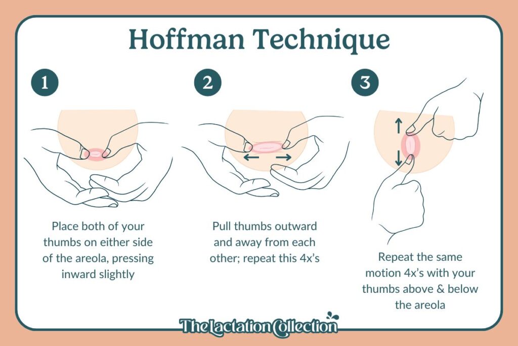 Hoffman Technique to manually stimulate flat or interved.nipples before breastfeeding to help them stick out