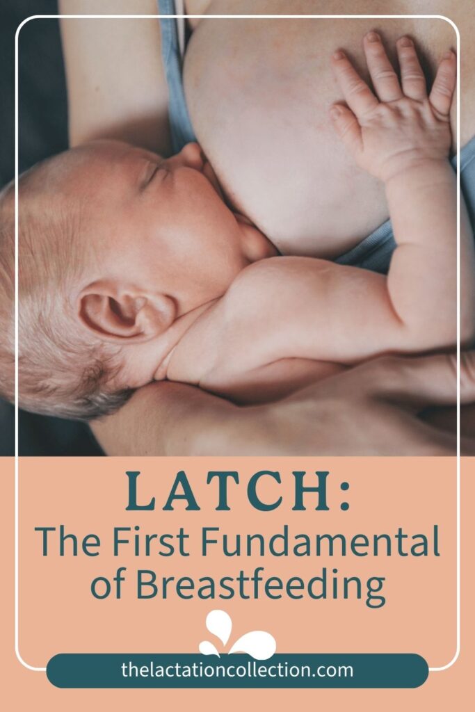 A newborn baby deeply latched onto the breast while breastfeeding, demonstrating the effective technique as the first fundamental of breastfeeding.