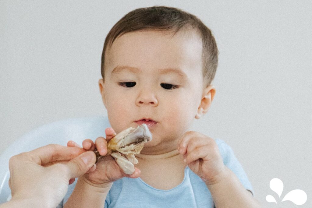 An attentive baby trying a piece of chicken, focusing intently on the new food texture and taste.