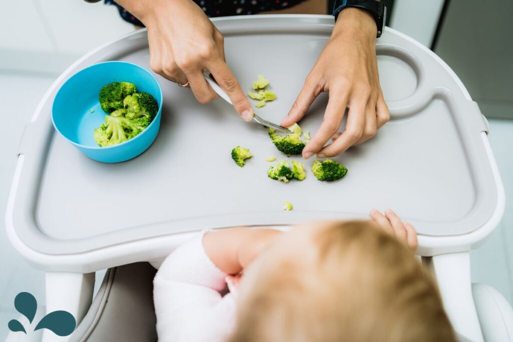 Hands cutting broccoli on a white high chair tray, preparing healthy solid food options for a little one.
