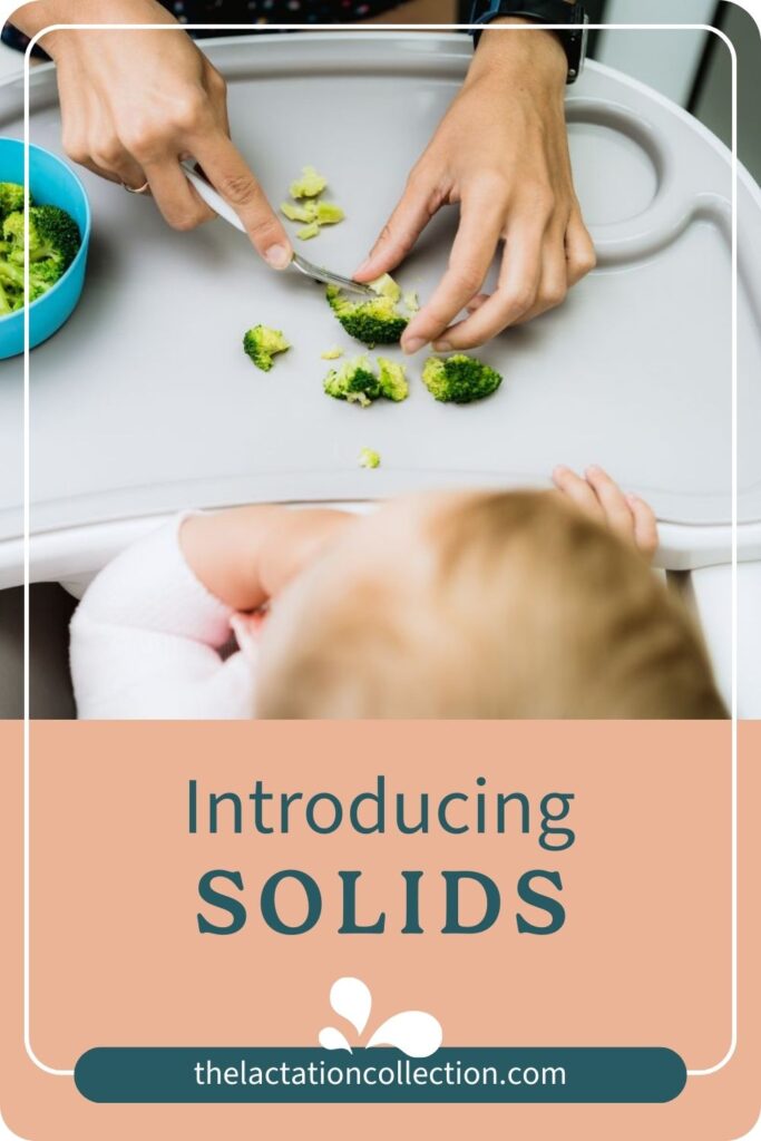 A graphic titled 'Introducing Solids' from the Lactation Collection, offering guidance on starting solid foods for infants.