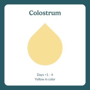 colostrum