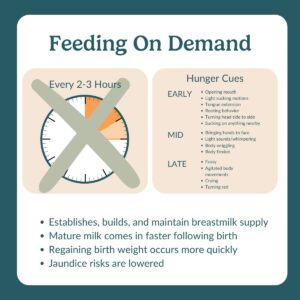 feeding on demand