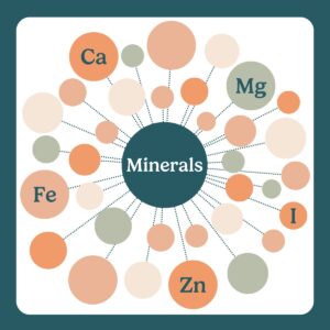 minerals