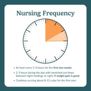 nursing frequency