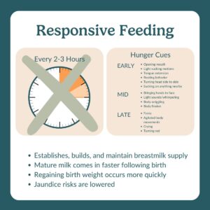 responsive feeding