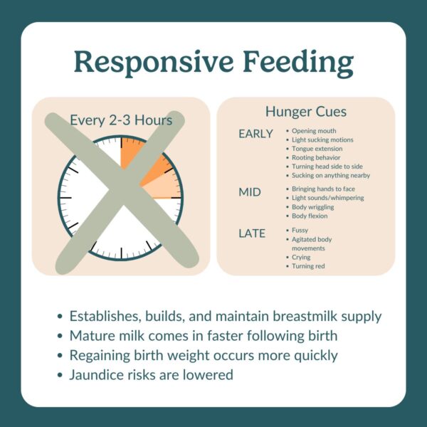 responsive feeding - Breastfeeding Glossary by The Lactation Collection