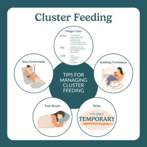 cluster feeding