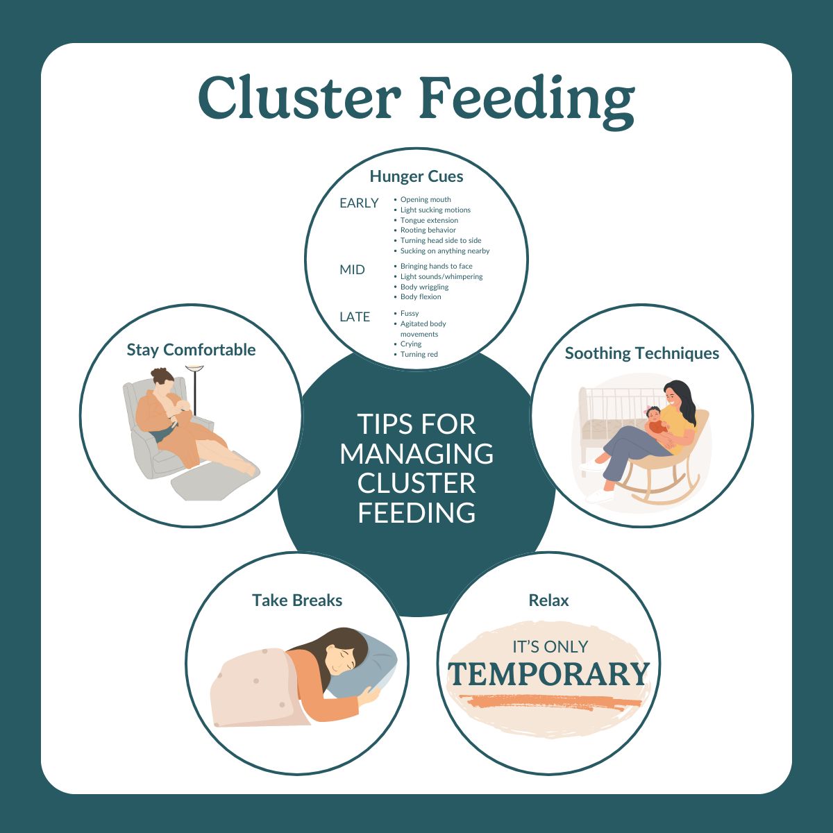 cluster feeding - Breastfeeding Glossary by The Lactation Collection