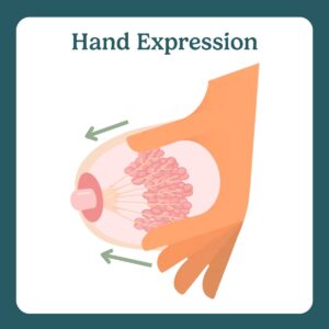 hand expression