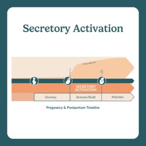 secretory activation