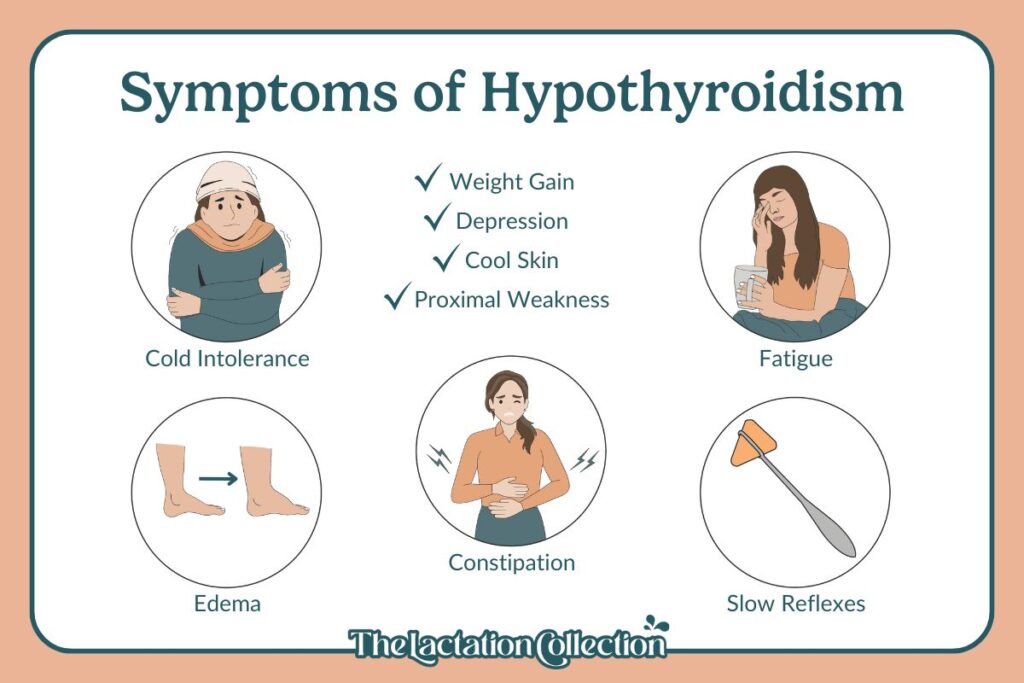 Symptoms of hypothyroidism: cold intolerance, edema, constipation, slow reflexes, fatigue, proximal weakness, cool skin, depression, weight gain