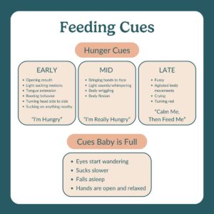 feeding cues