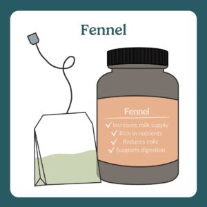 Fennel