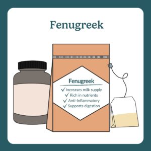 Fenugreek