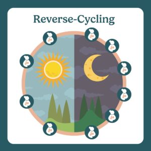 reverse-cycling